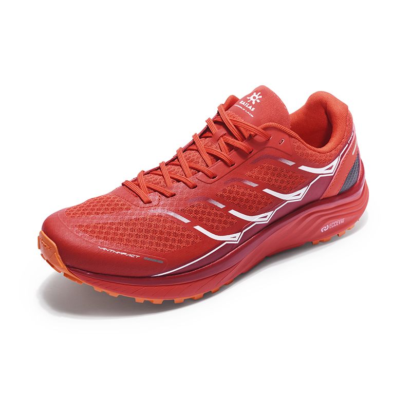 168771676127-ks2113131-_4_