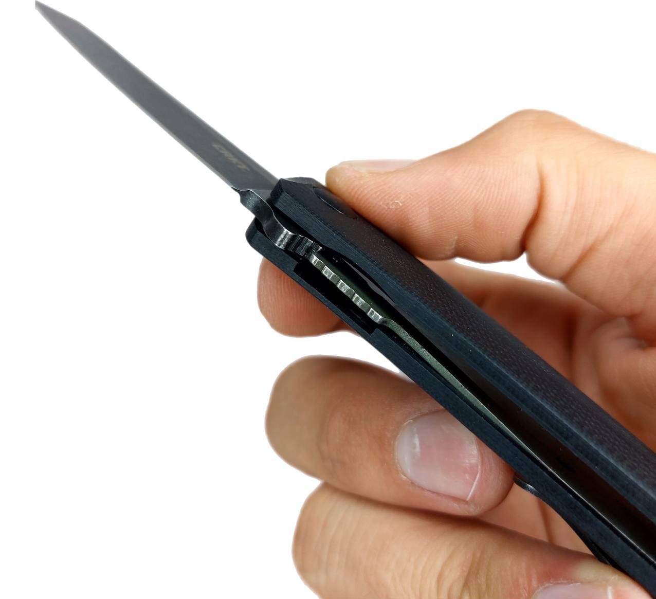 photo_2024-08-12_11-35-17