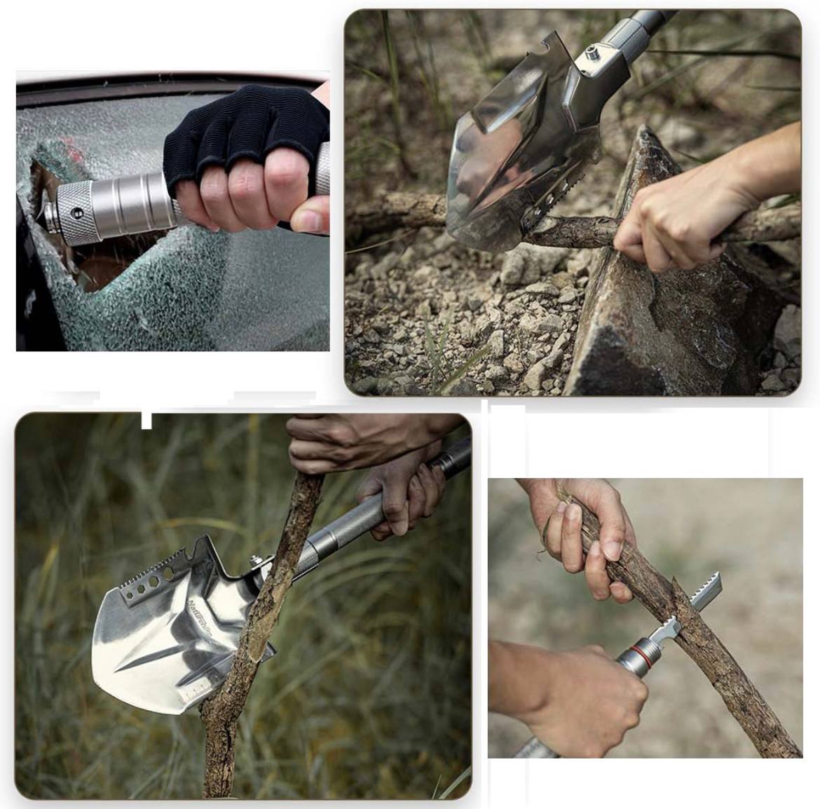 photo_2025-01-27_00-10-56