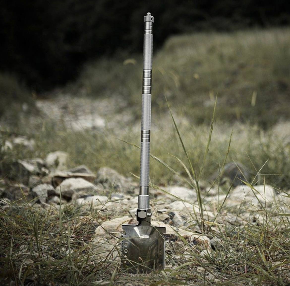 photo_2025-01-27_00-11-12