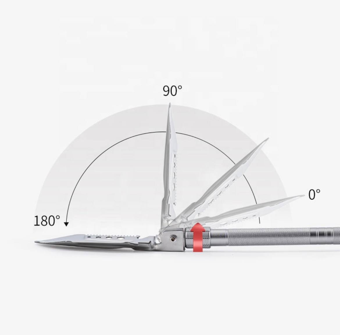 photo_2025-01-27_00-11-20