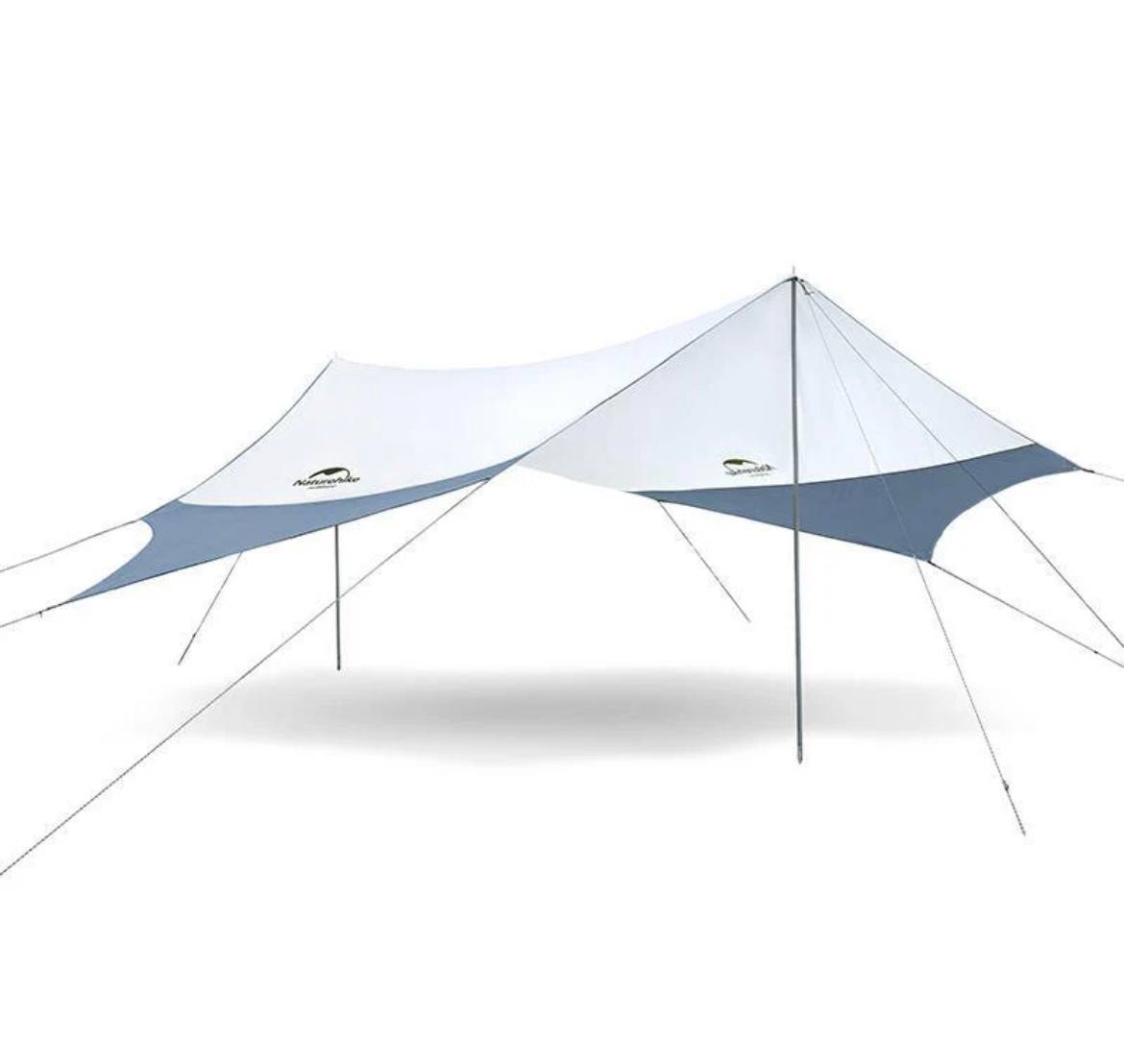 photo_2025-01-31_17-02-00