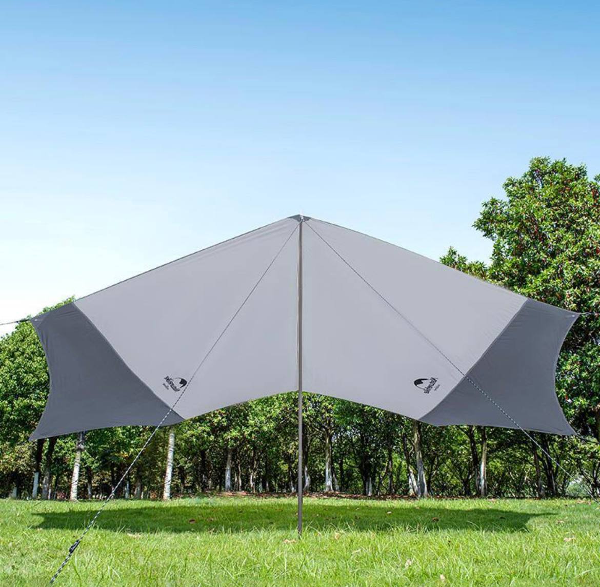 photo_2025-01-31_17-03-41