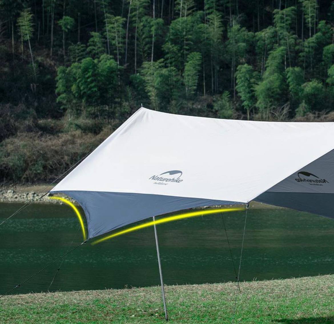 photo_2025-01-31_17-03-48