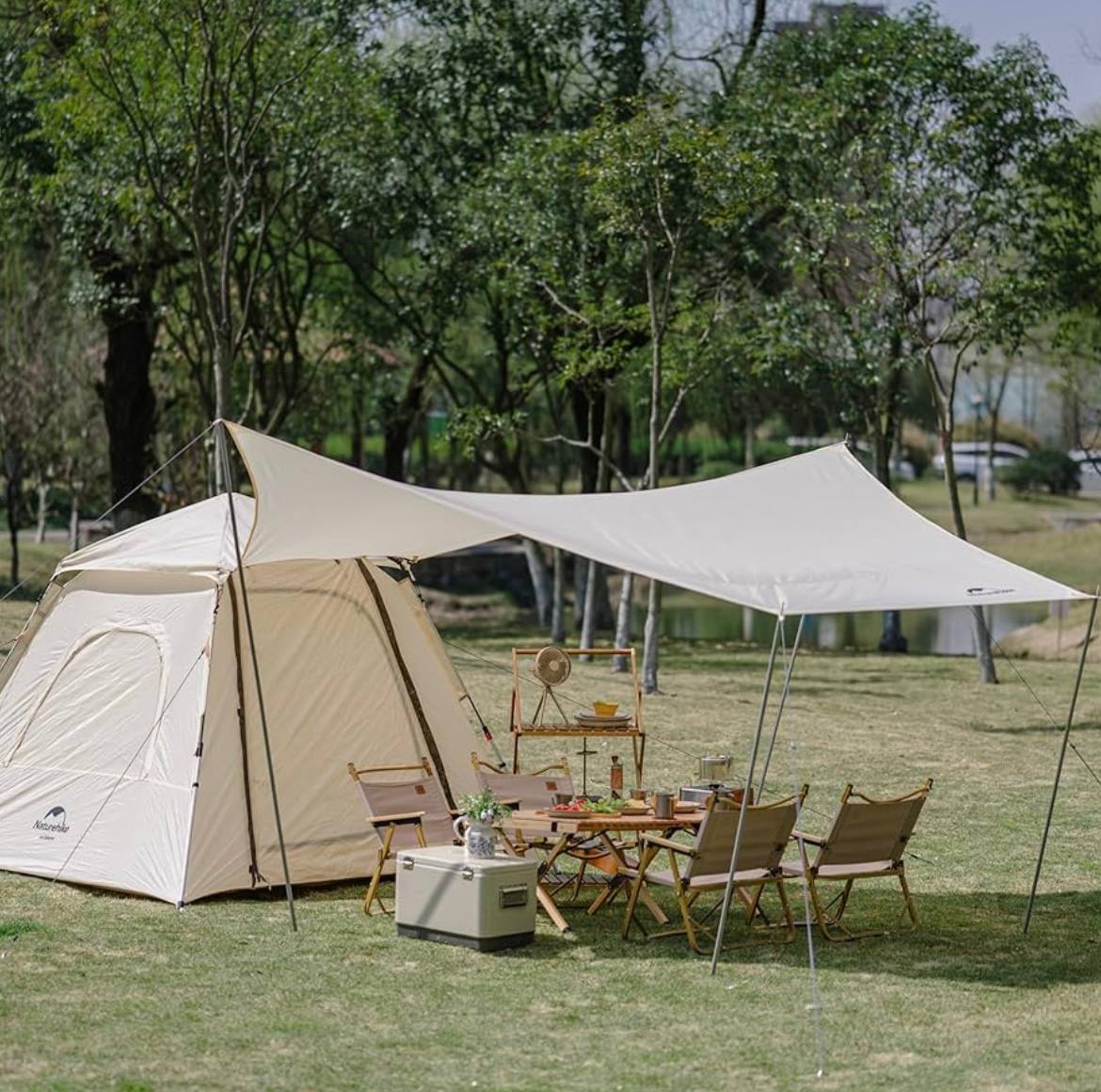 photo_2025-02-02_12-37-32