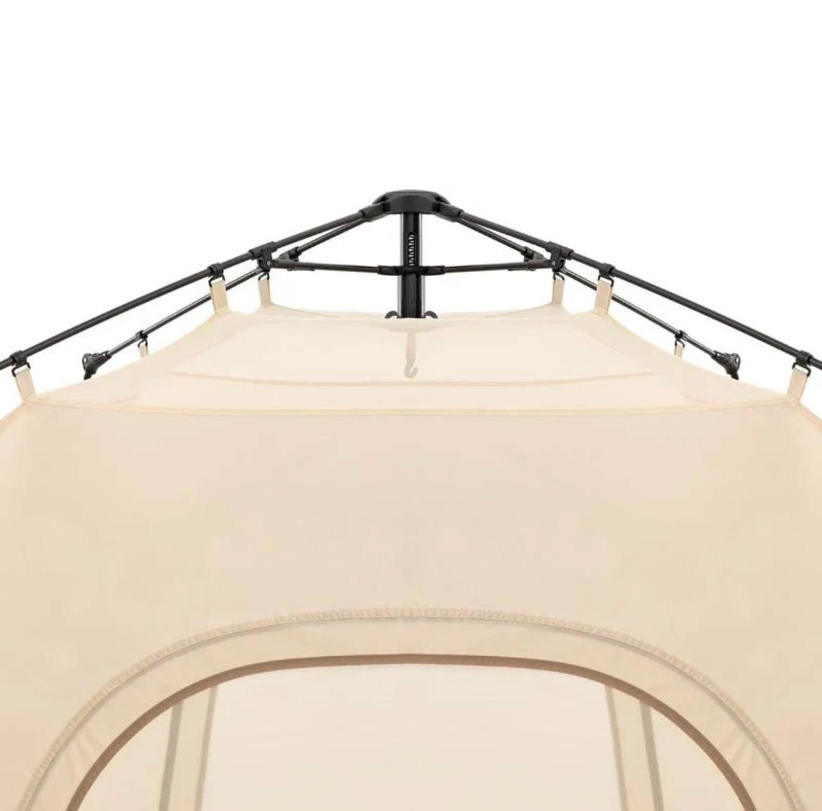 photo_2025-02-02_12-37-46