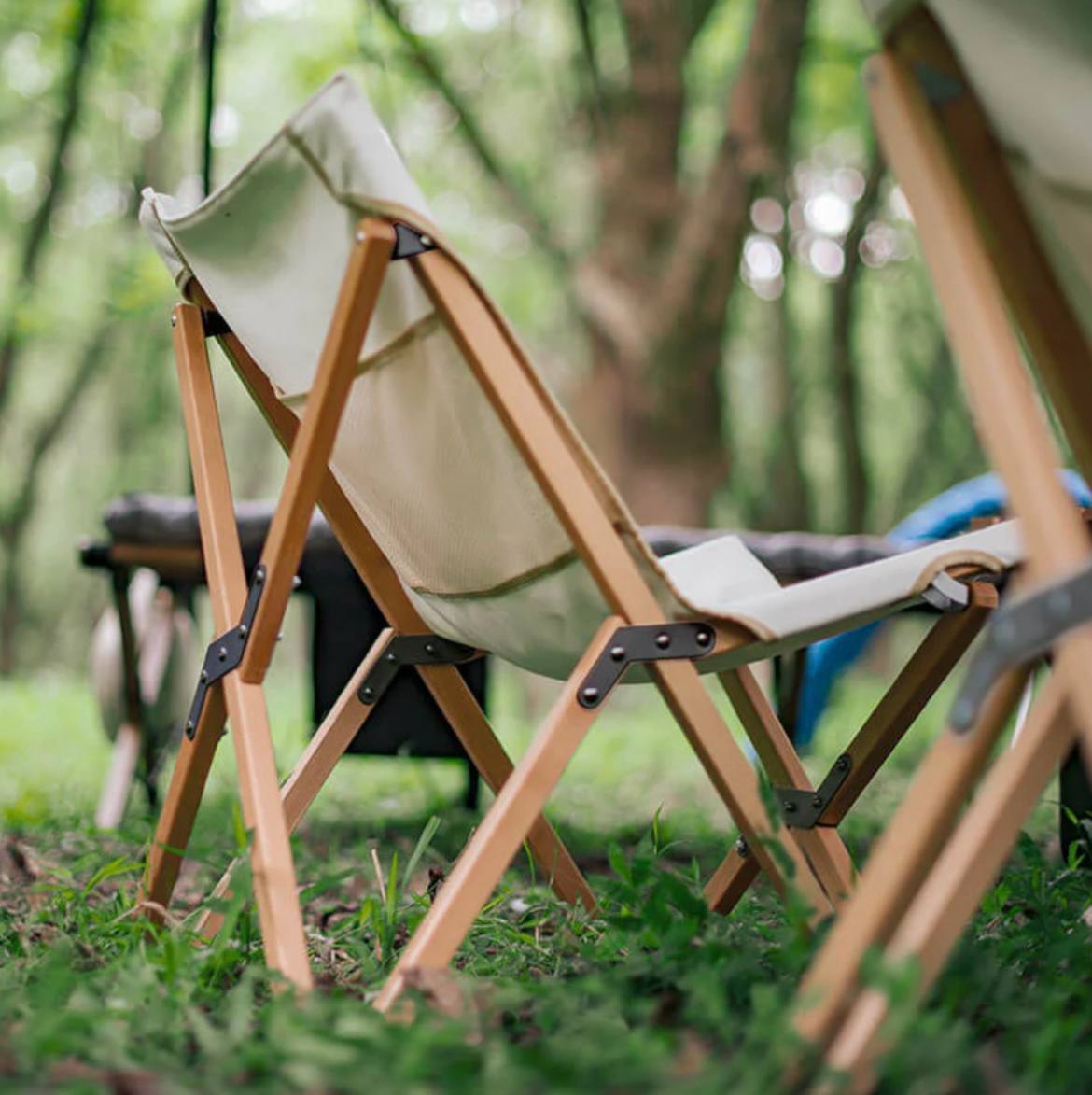 photo_2025-02-24_15-06-18