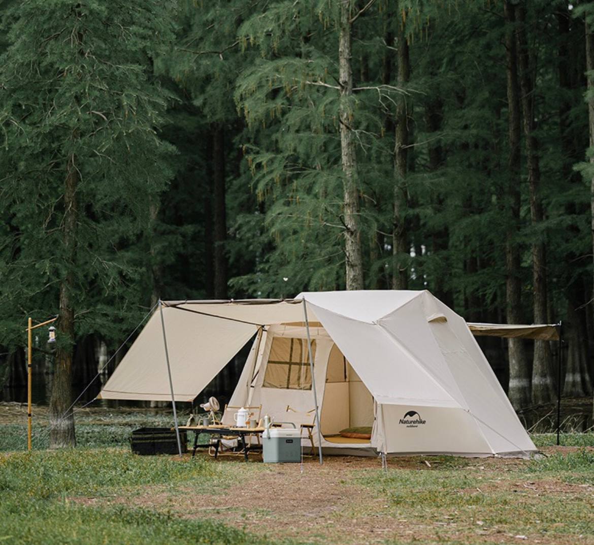 photo_2025-03-01_22-50-10