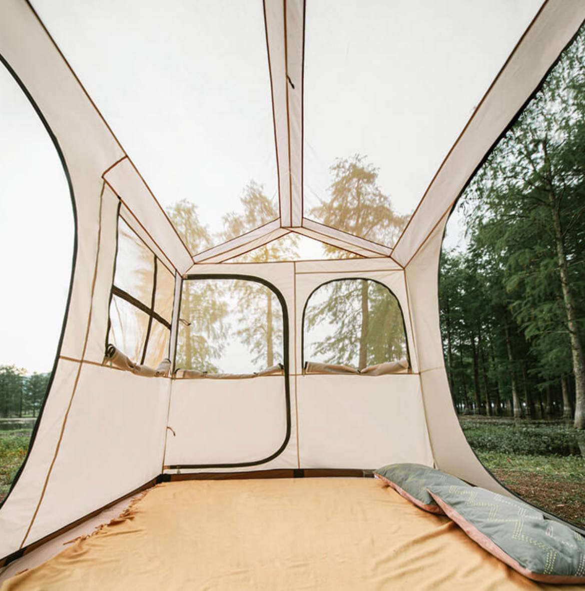 photo_2025-03-01_22-51-13