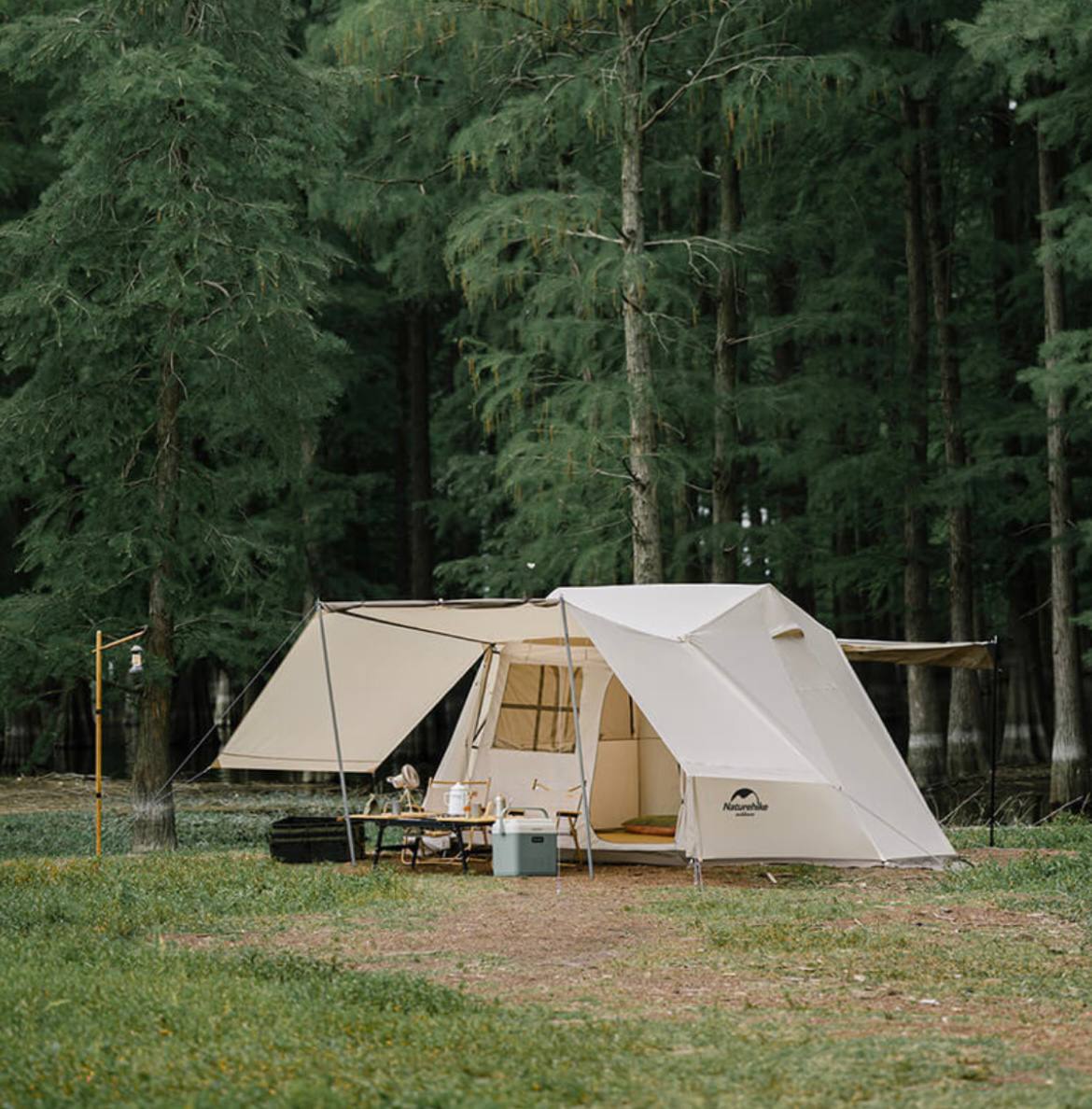 photo_2025-03-01_22-51-21