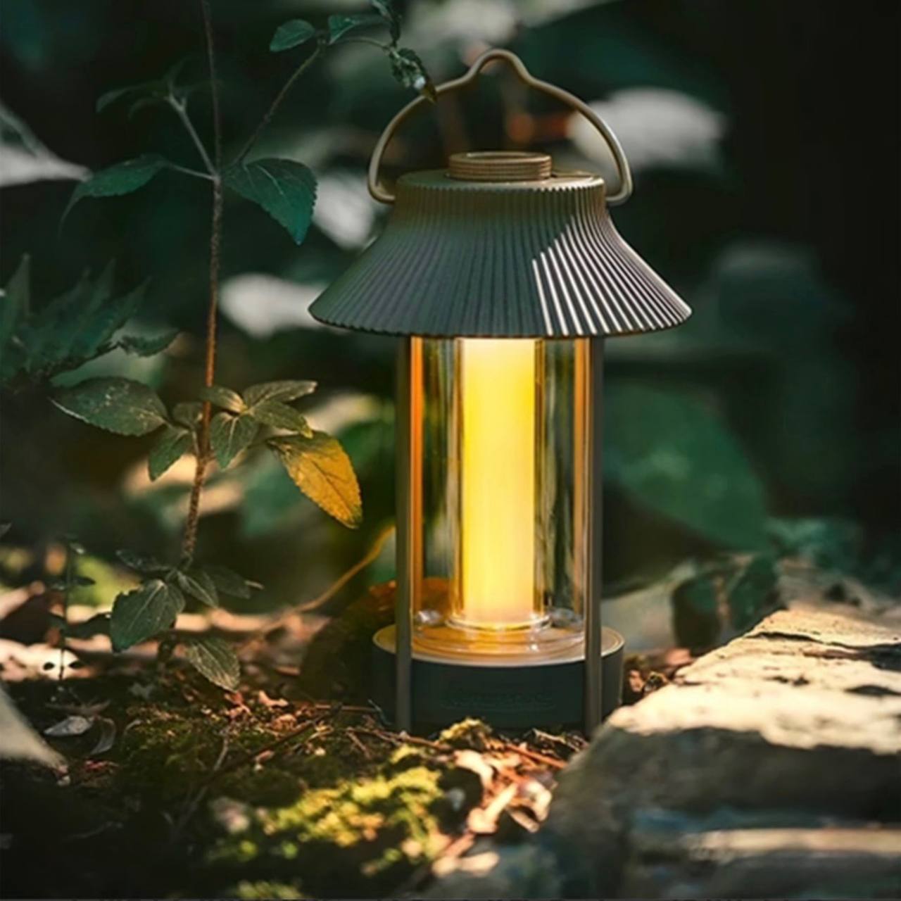 photo_2025-03-26_14-19-52