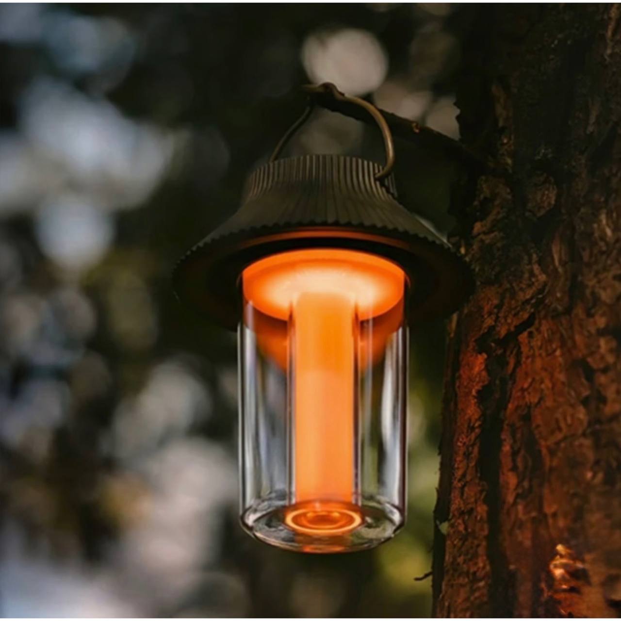 photo_2025-03-26_14-19-55