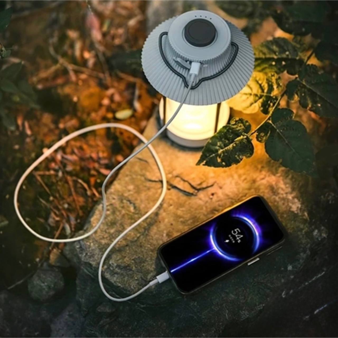 photo_2025-03-26_14-20-01