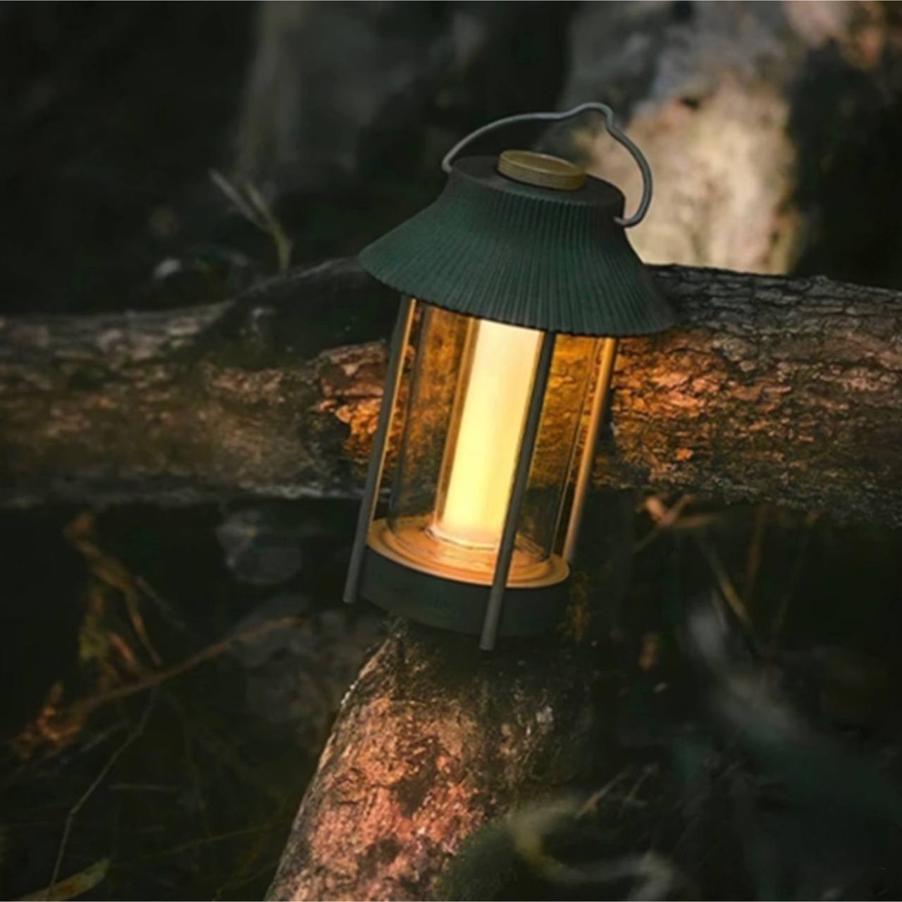 photo_2025-03-26_14-20-04