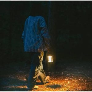 چراغ فانوس نیچرهایک مدل CNK2300DQ013