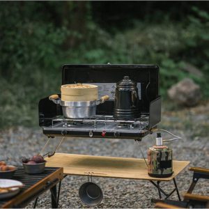 اجاق گاز دو شعله نیچرهایک مدل NH22RJ001 