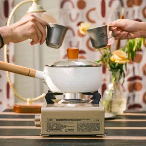 اجاق گاز کمپینگ نیچرهایک مدل CNH22CJ008