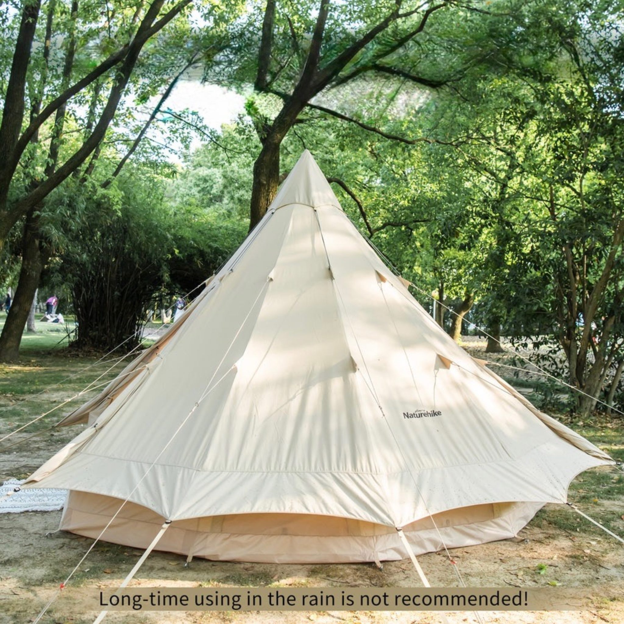 318D521A-E202-4A62-AEE9-FA96A14537F1