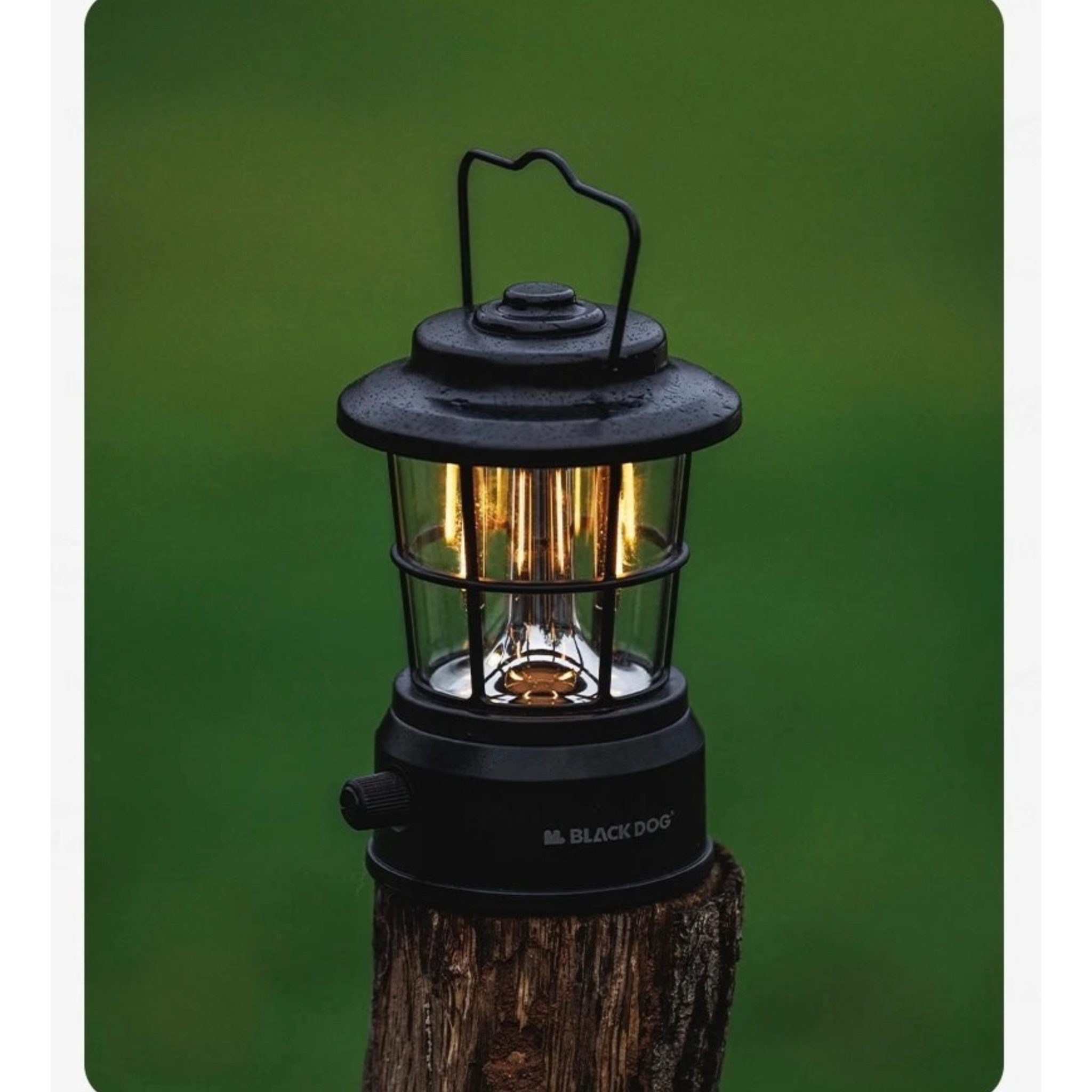 A4642BB7-E534-4956-B8FF-33B82450D0DC