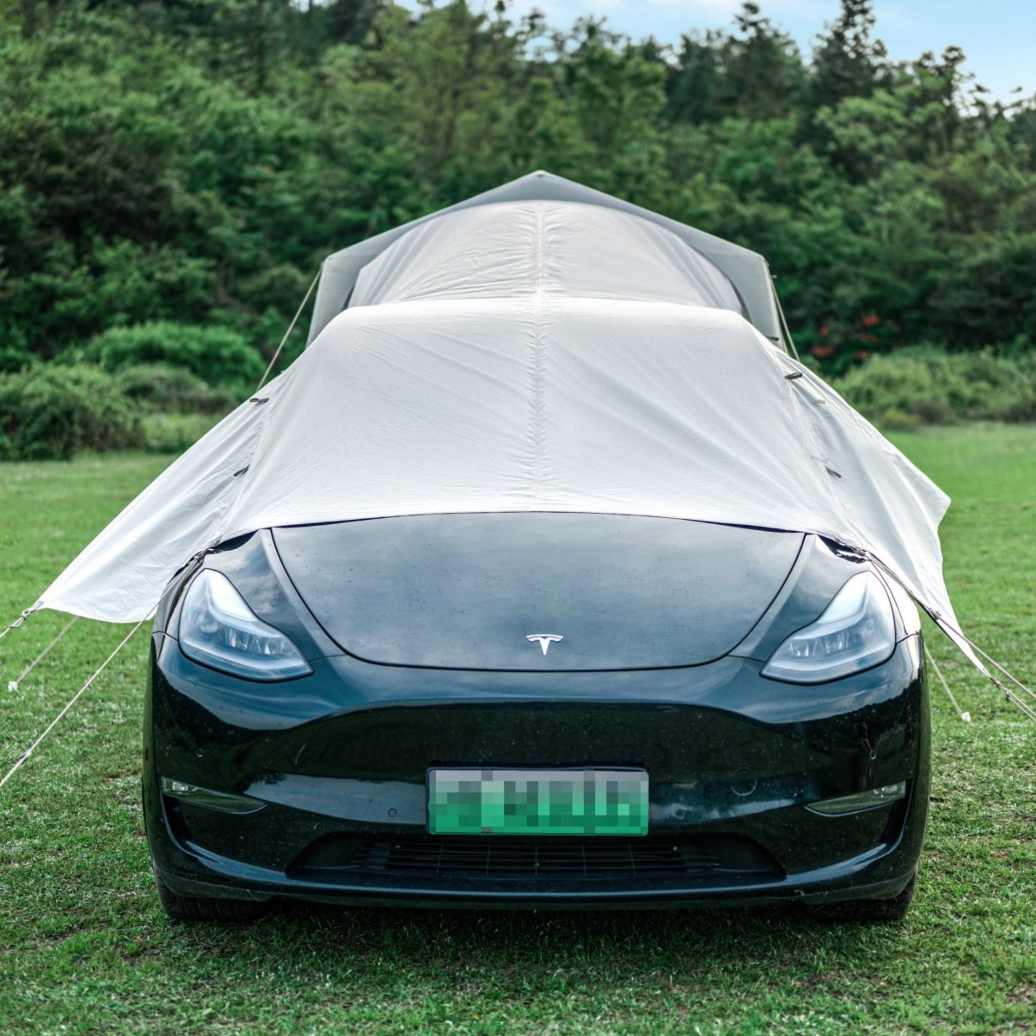 B9D481E9-80B4-4F63-A79B-D65221792D72