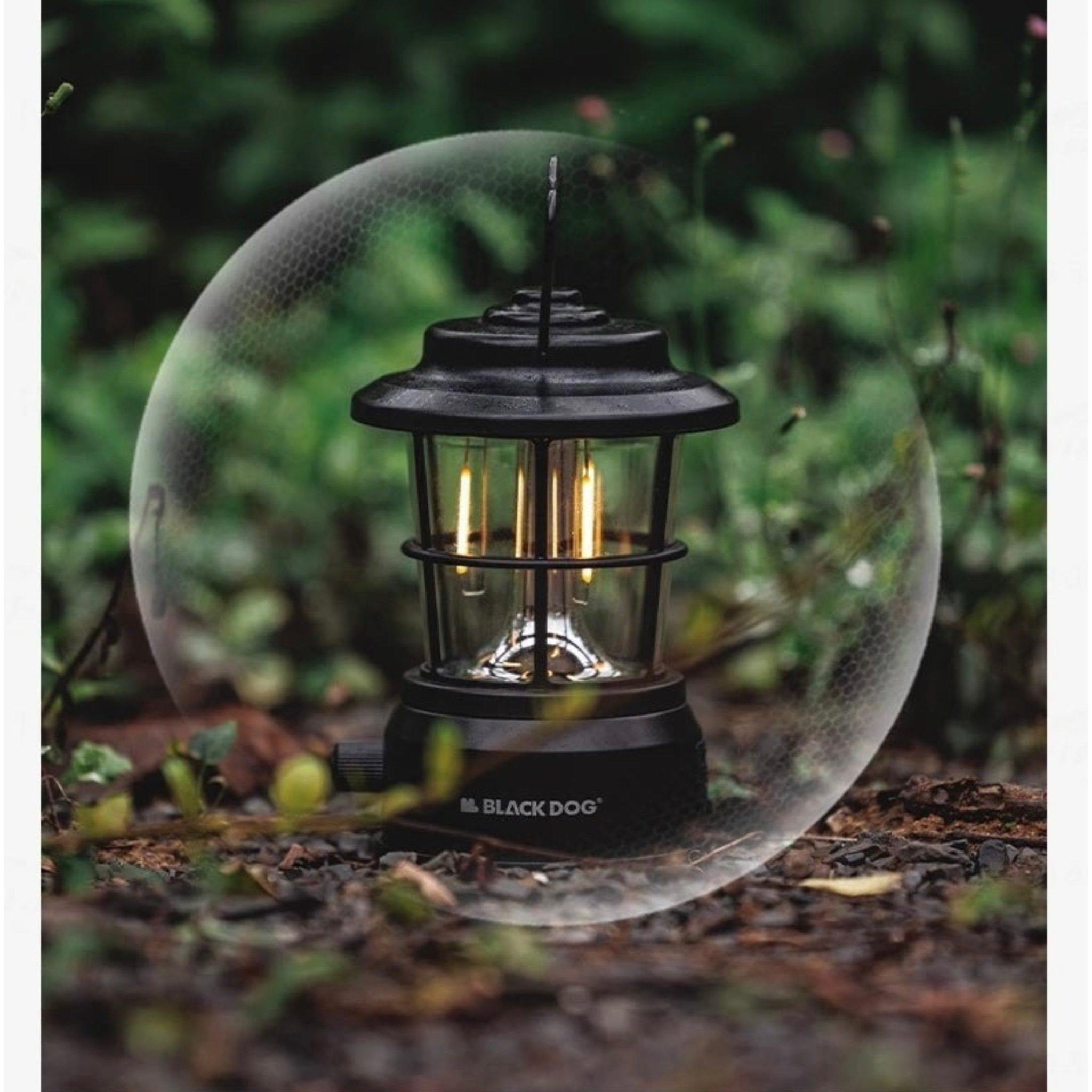 F1351EC9-3A6A-4090-A99D-8753E034533F