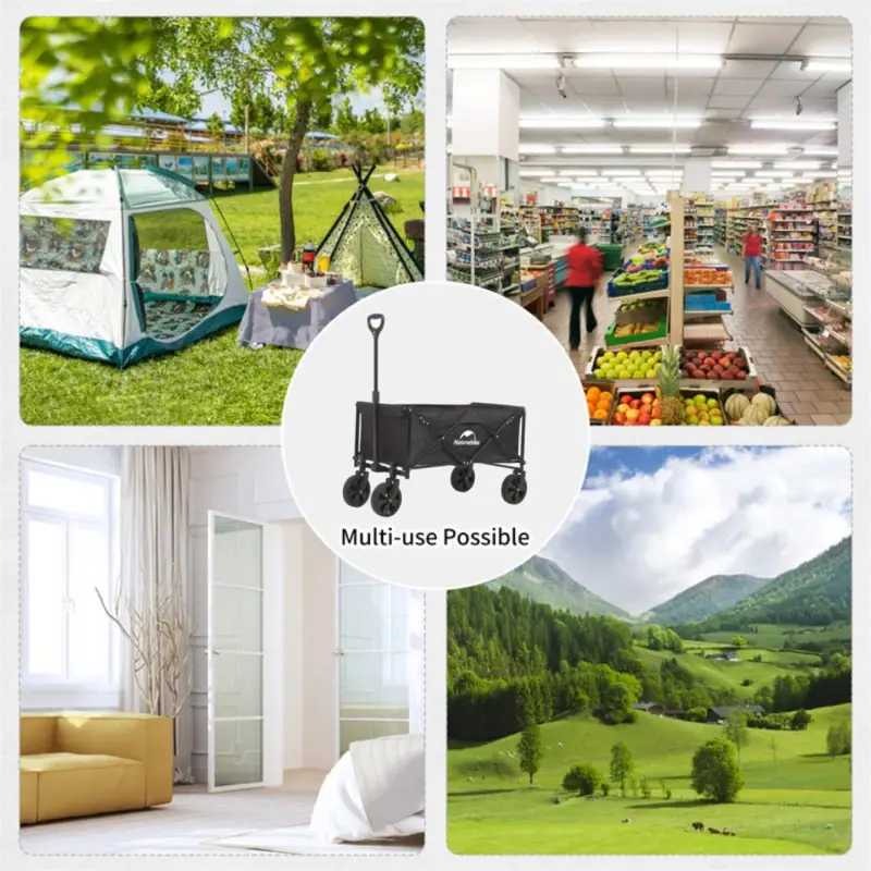 D09955E9-9C40-4656-9CDF-D363F8A1AC6E