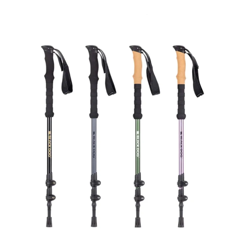 DE9FF4D7-1415-4B6F-A7E6-B0EC22098A46